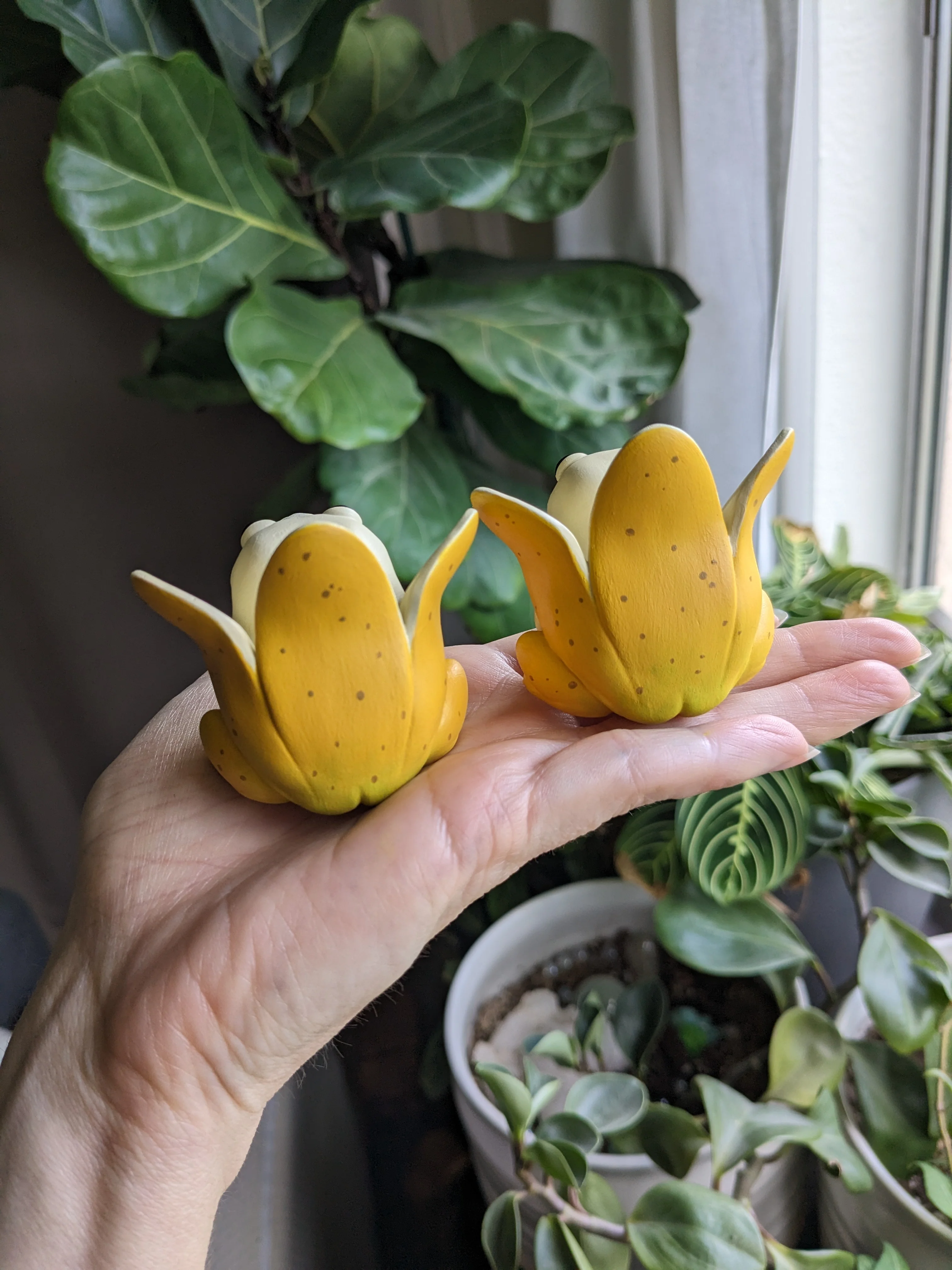Banana Frog - Image 6