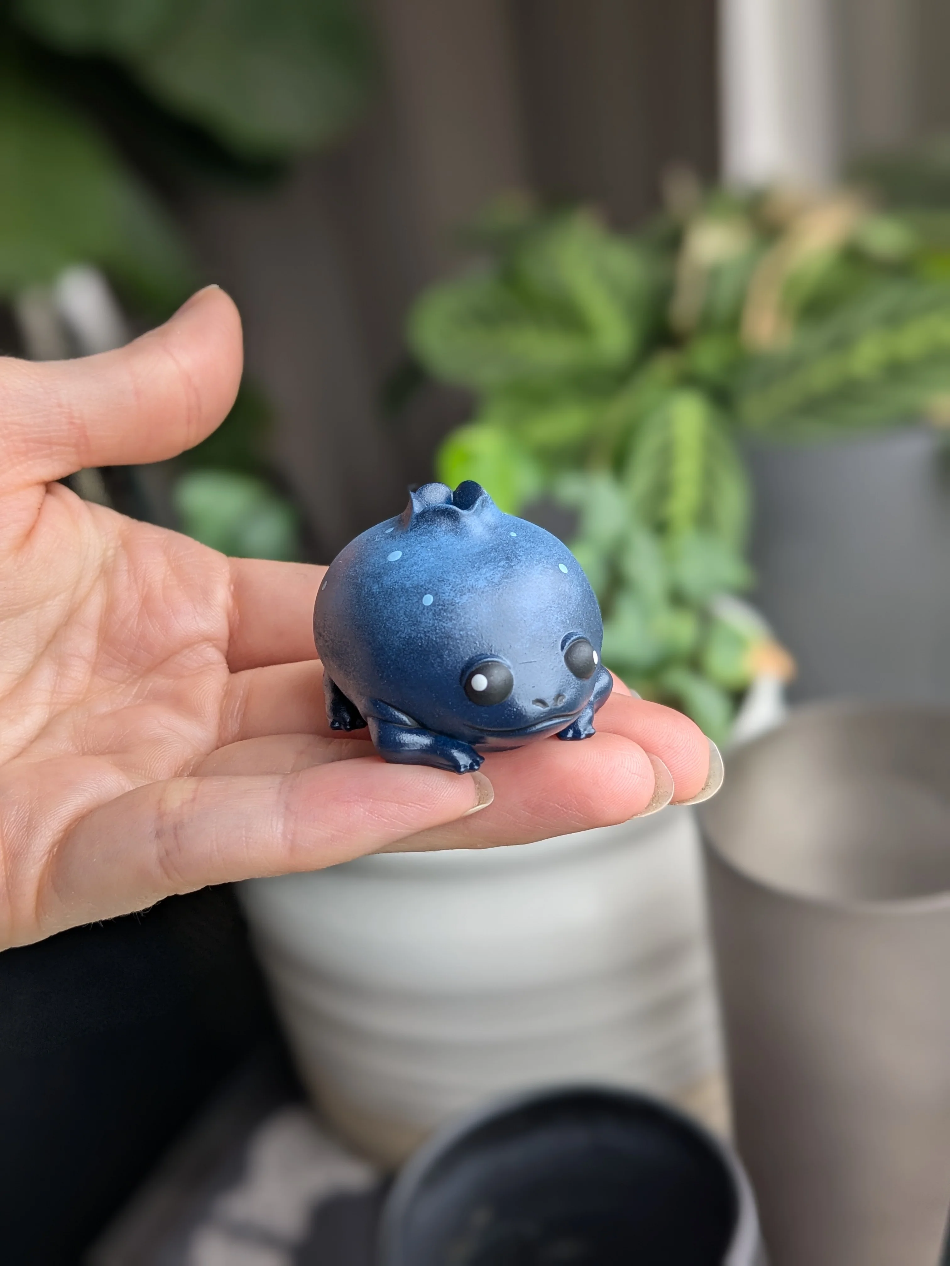 Happy Blueberry Frog - Image 6
