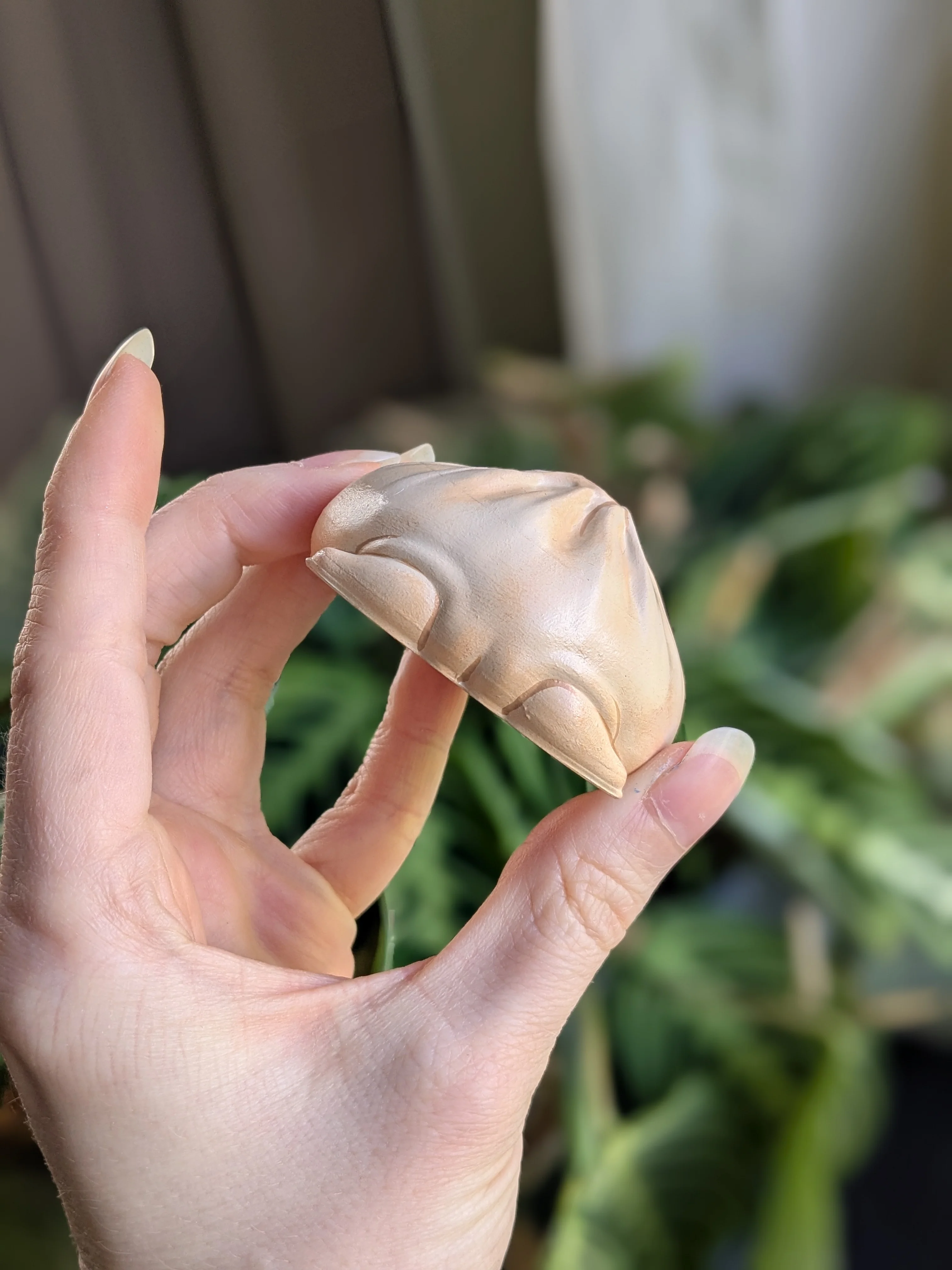 Dumpling Frog - Image 3