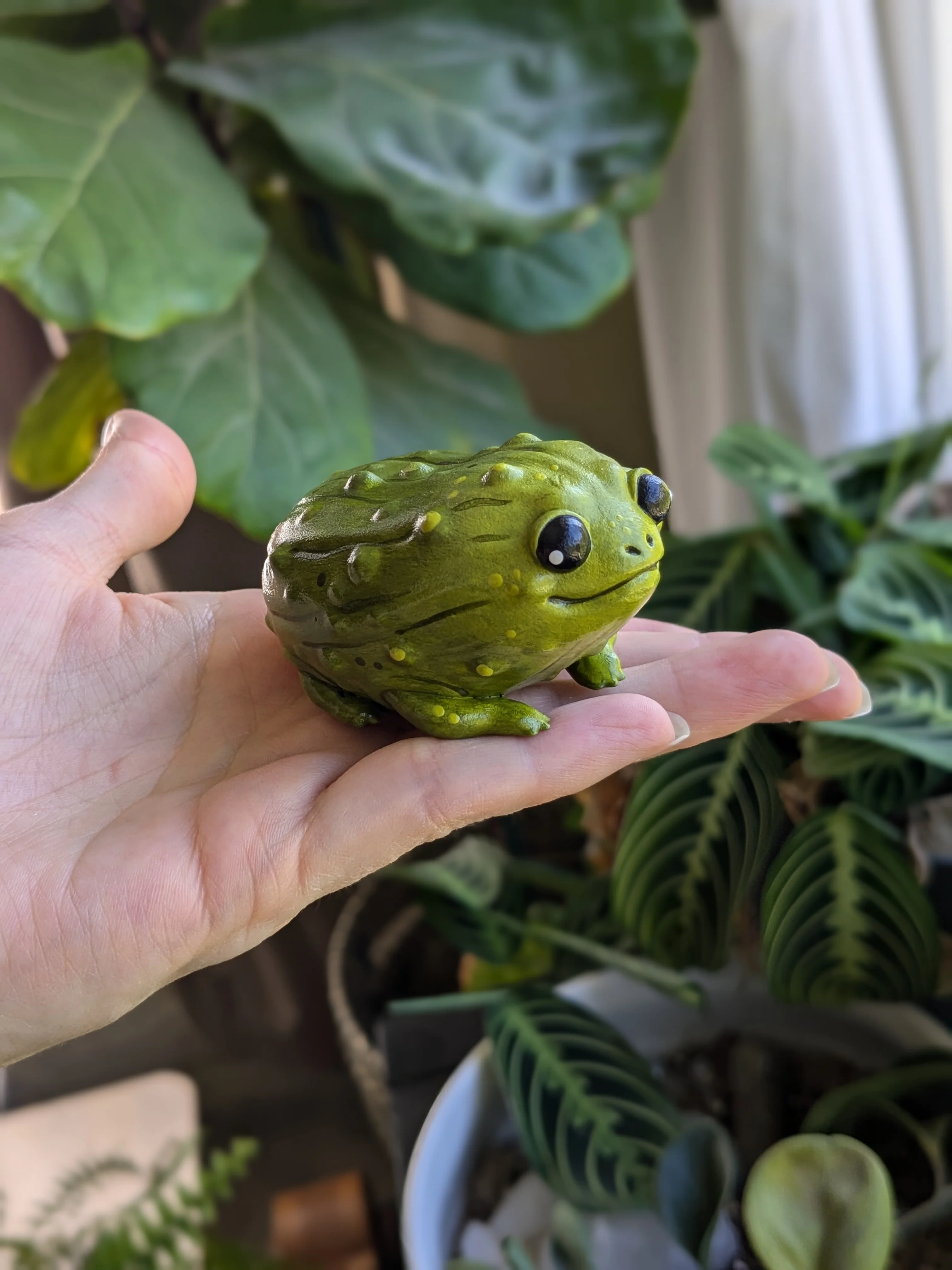 Pickle Frog - Image 3