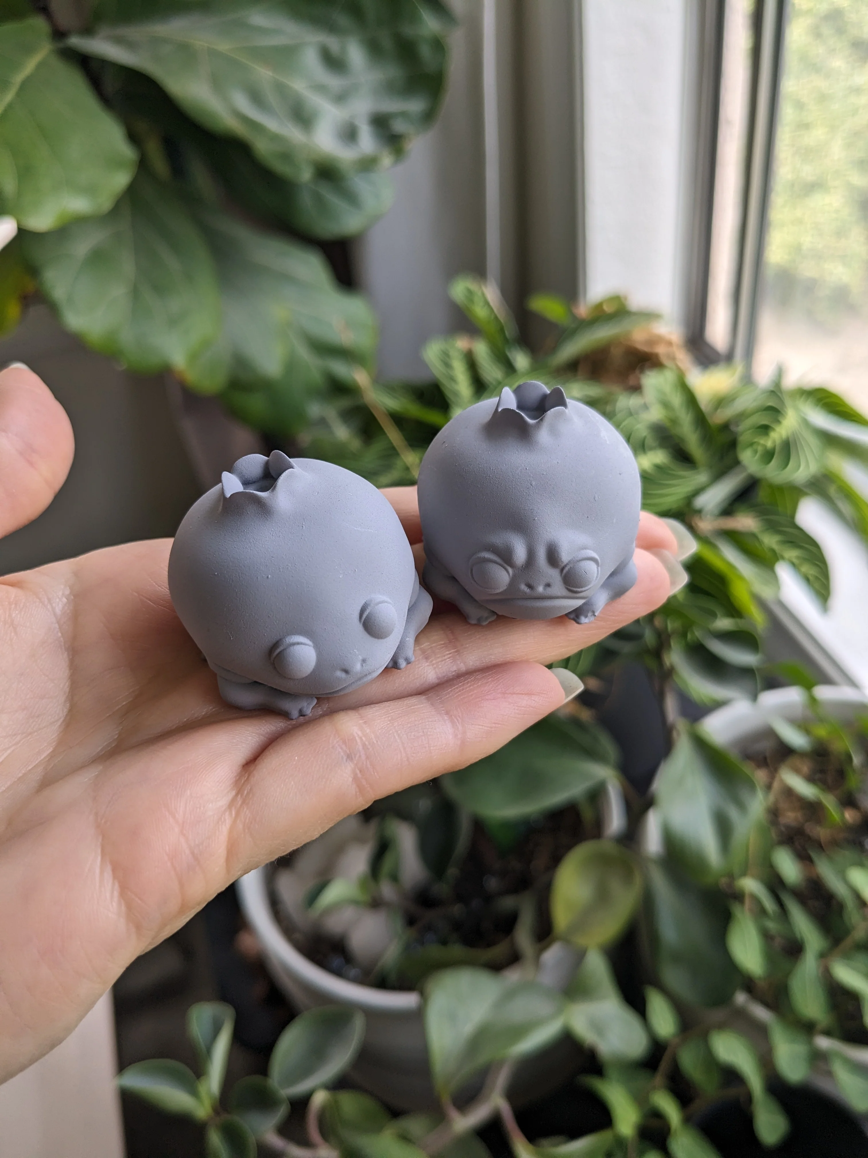 PYO Blueberry Frog