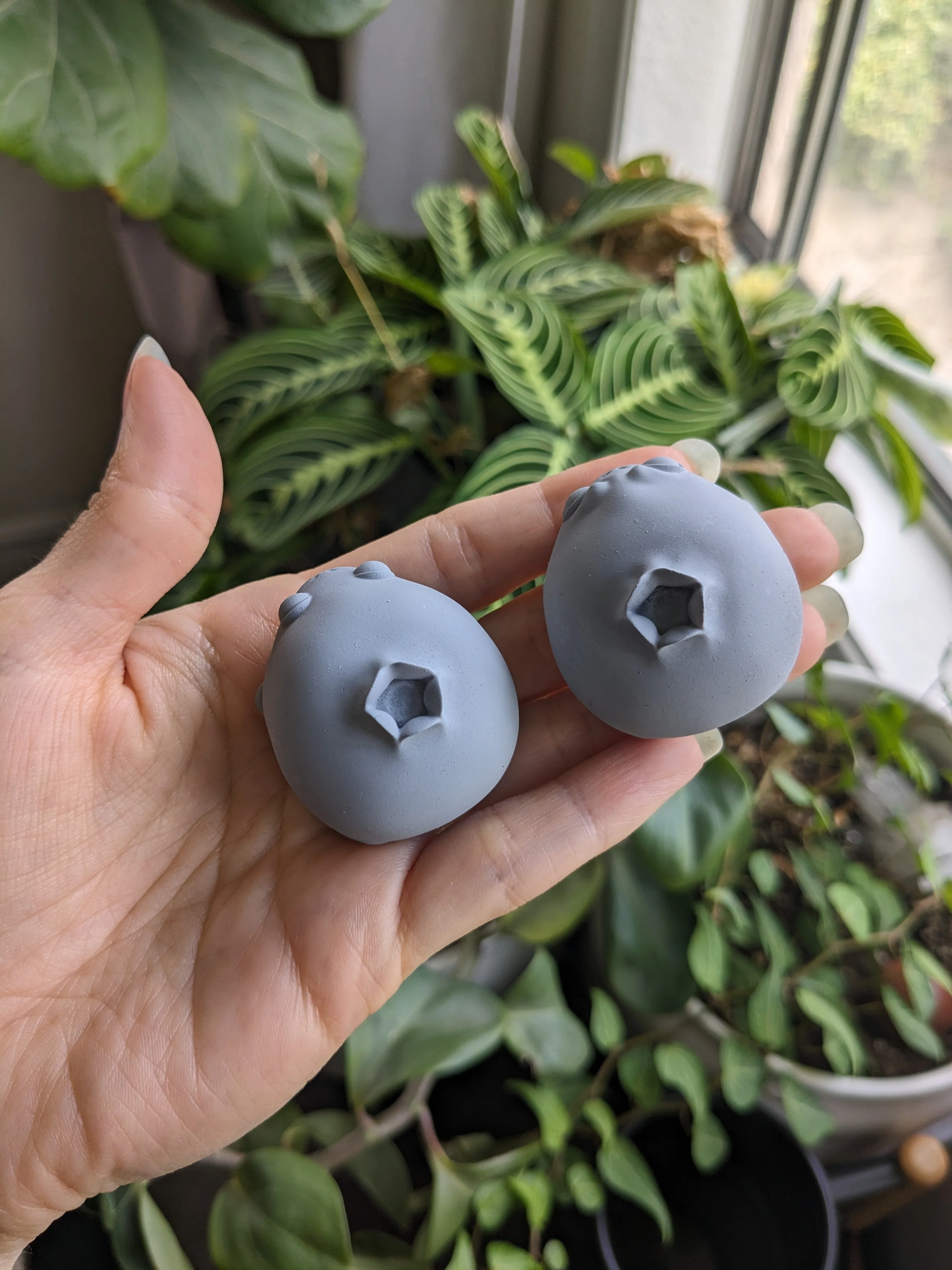 PYO Blueberry Frog - Image 2