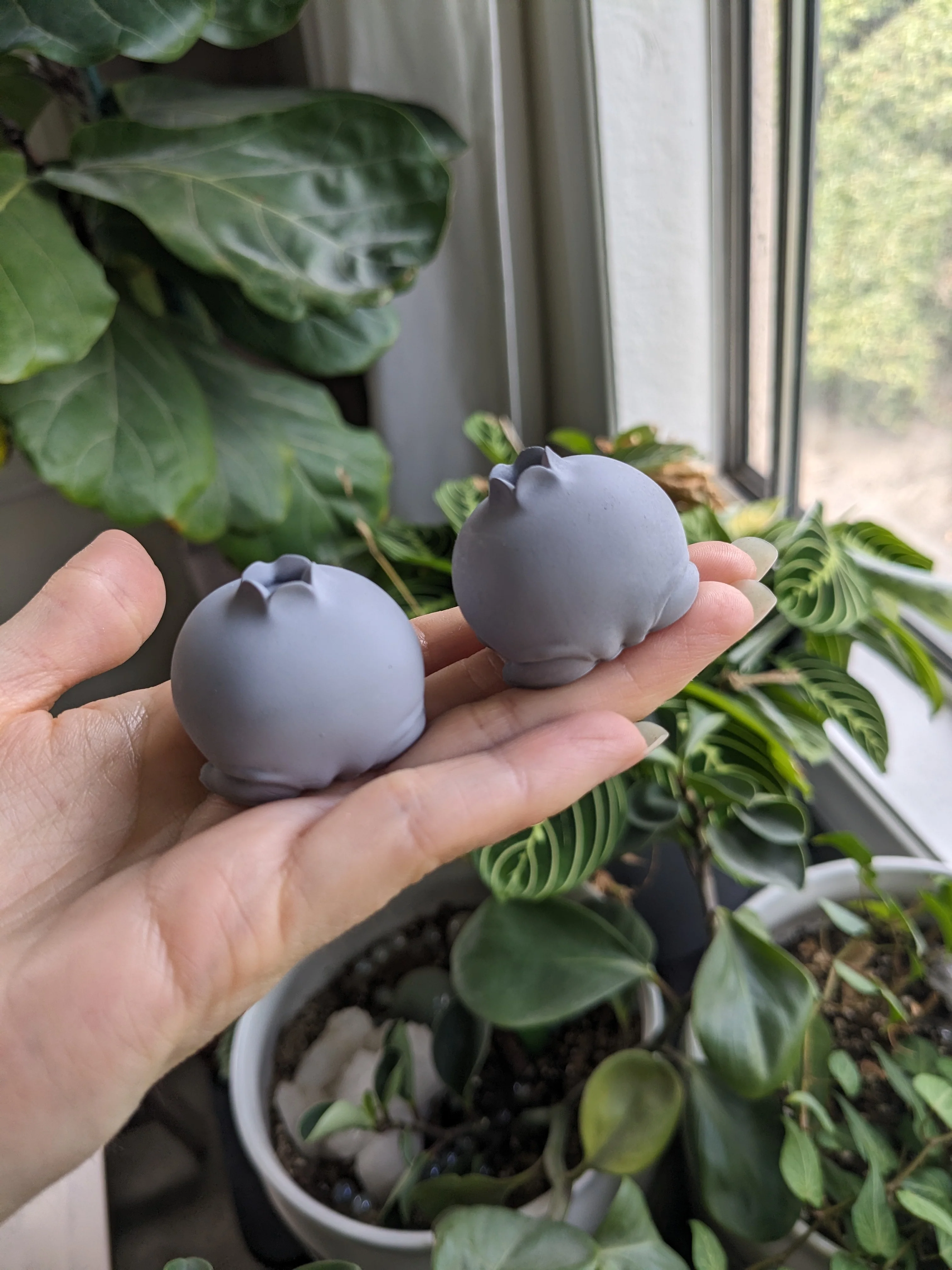 PYO Blueberry Frog - Image 3